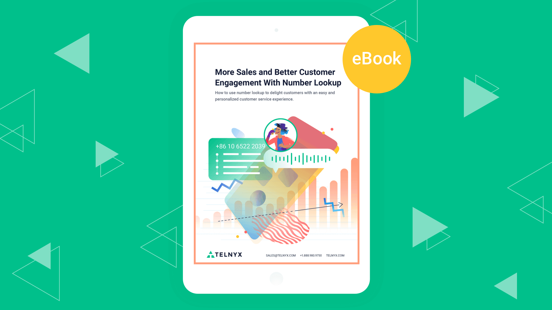Number lookup customer experience graphic