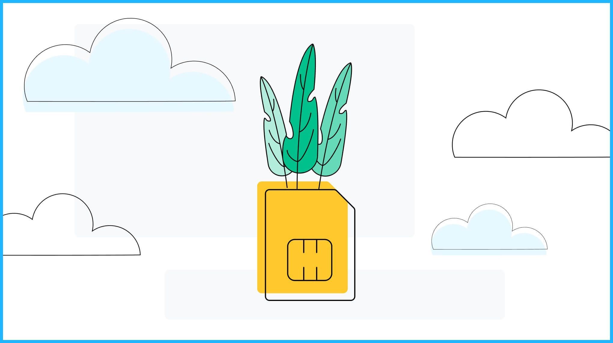 SIM card serves as a flower pot